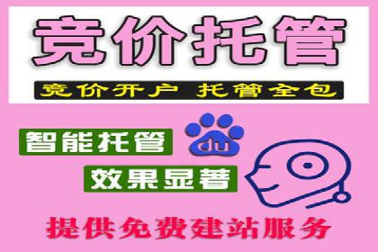 竞价托管SEM的五大成功案例分享